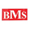 بی ام اس | BMS